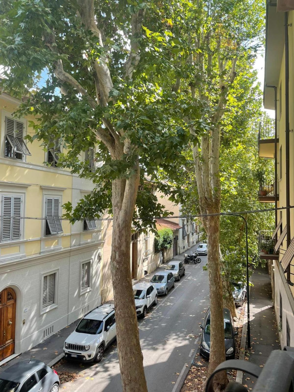 Bocca's 8 Florencia